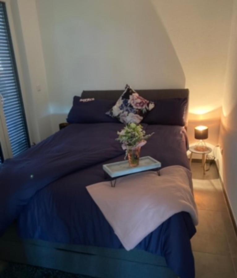 Casaina Apartment Weisweil  Ngoại thất bức ảnh